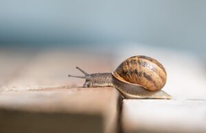 ゆっくり過ごせる温泉で子連れにおすすめの連休の過ごし方は？