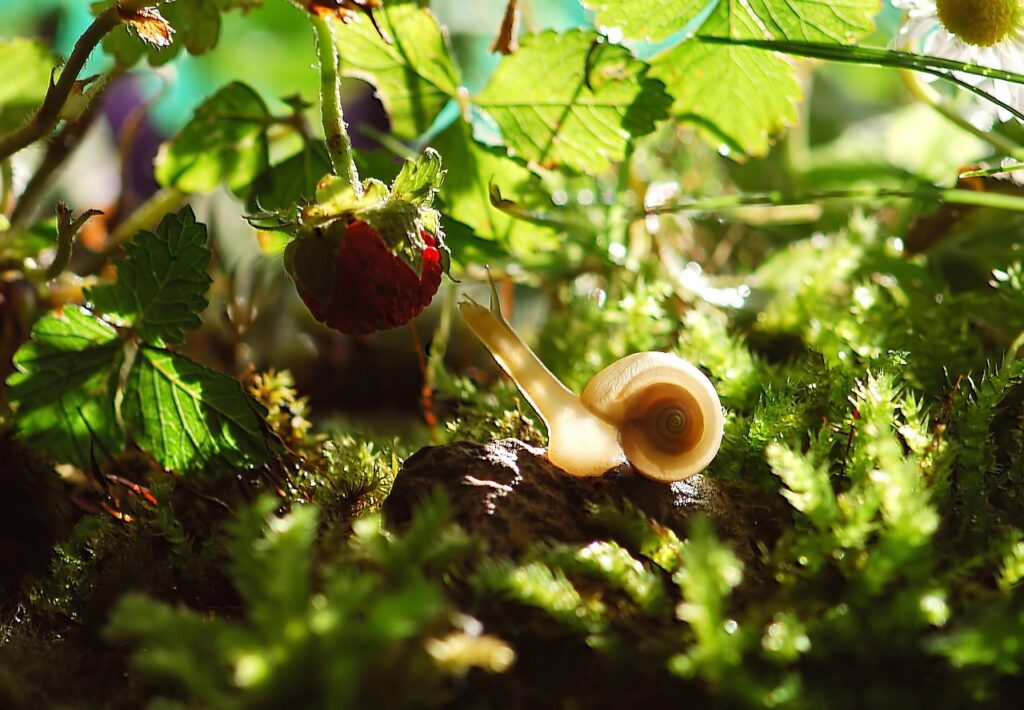 ゆっくり過ごせる観光地で子連れの連休におすすめのスポットは？