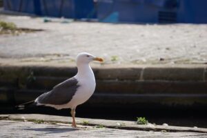 人が少ない子連れのお出かけに最適な連休の過ごし方は？