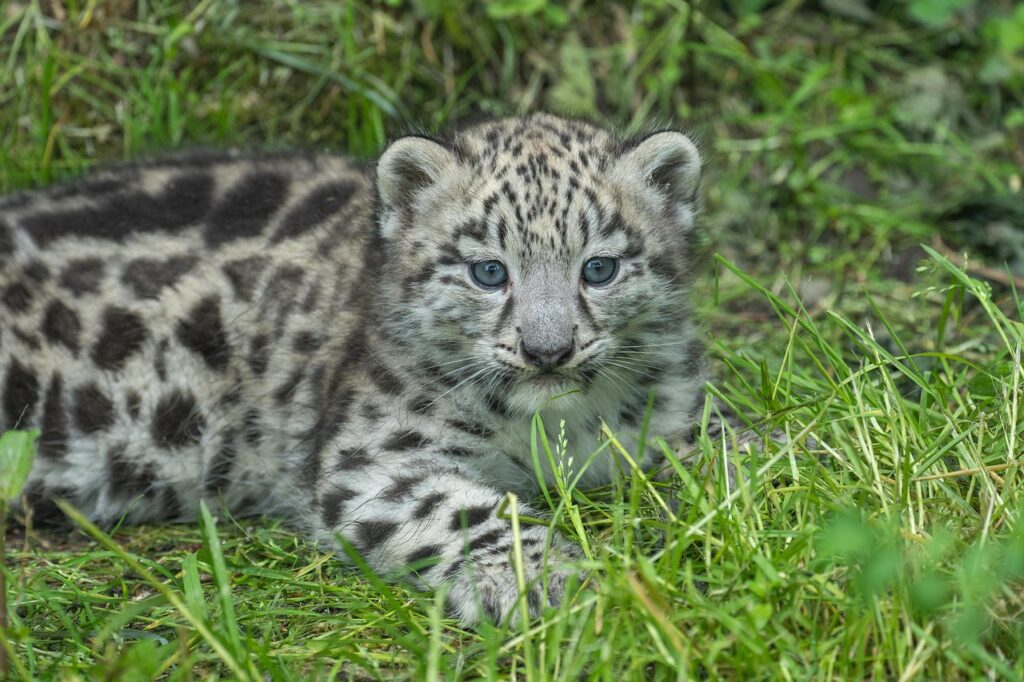 連休に子連れで楽しめる動物園の穴場スポットは？