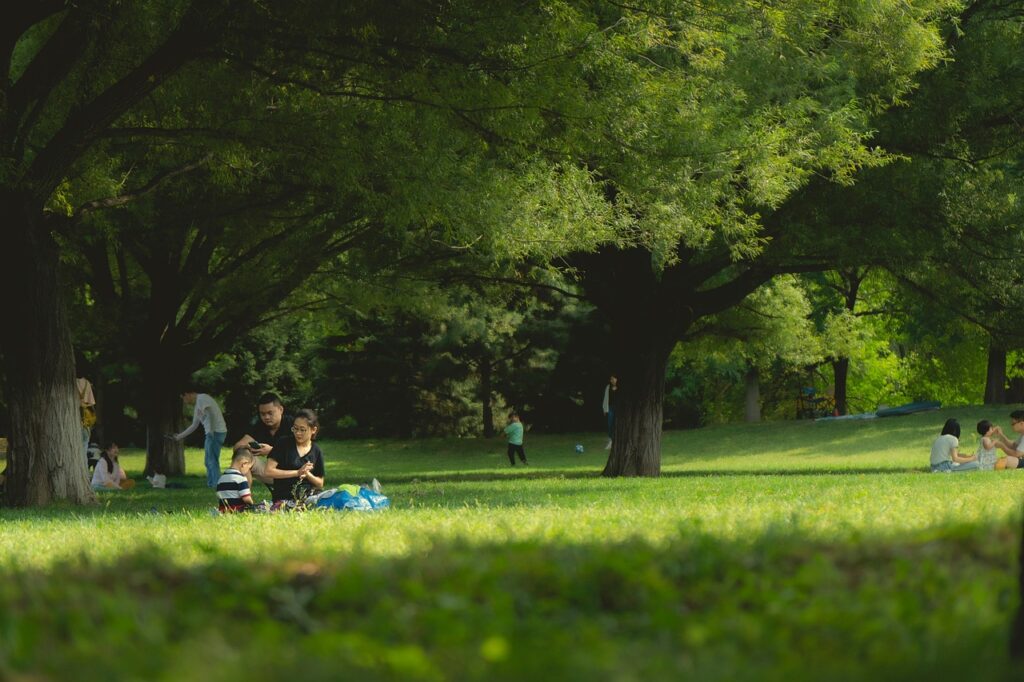 連休におすすめの穴場自然公園で楽しむピクニックは？