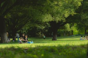 連休におすすめの穴場自然公園で楽しむピクニックは？