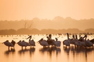 GWにおすすめの穴場船旅小旅行はどこですか？