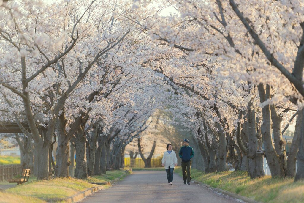 連休に行きたい穴場の渓谷散歩スポットは？