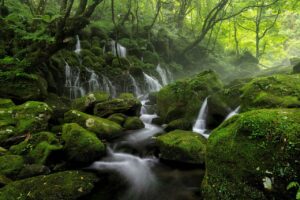 九州GWに訪れたい自然豊かな穴場スポットは？