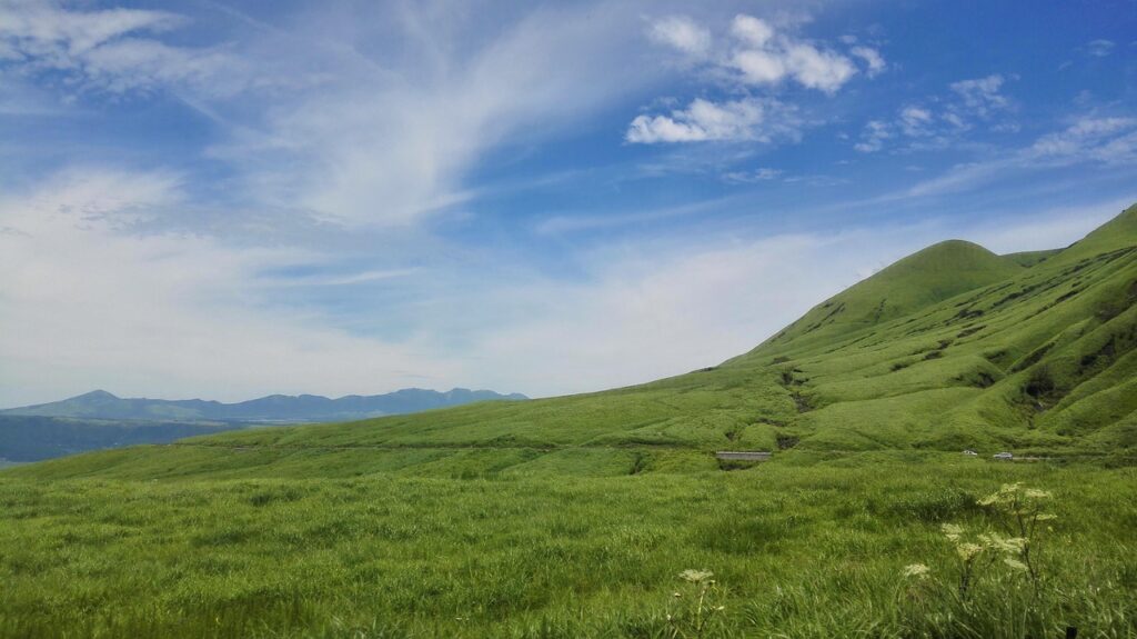 福岡の春に家族連れにおすすめの穴場スポットは？