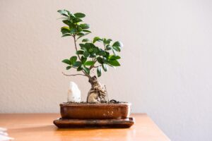 連休に訪れたい静かなカフェ巡りのおすすめスポットは？