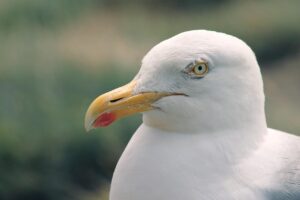 連休に訪れたい穴場スポット海カフェの穴場は？