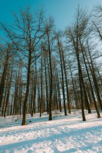 連休に山で静かに過ごせる場所はどこですか？