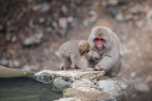 連休に訪れる人が少ない温泉観光地はどこ？
